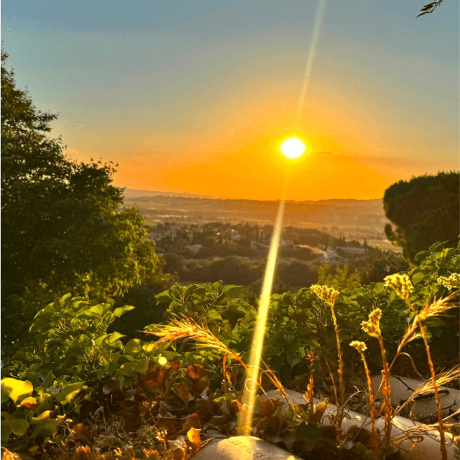Coucher de soleil sur la plaine depuis le jardin