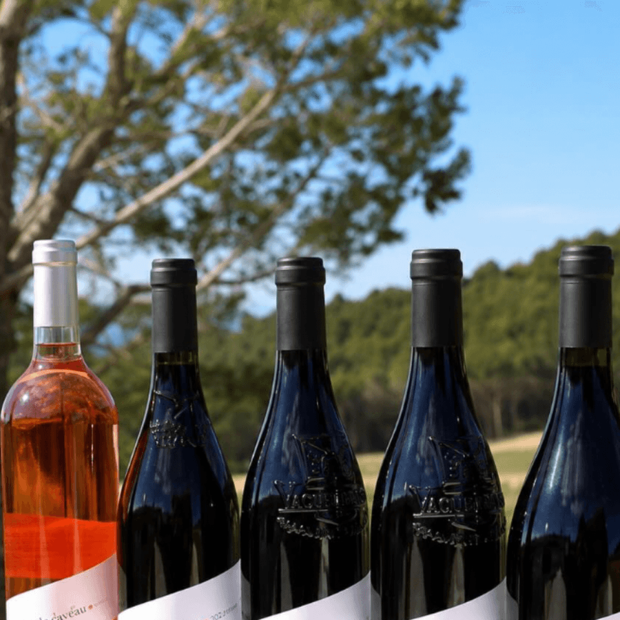 Bouteilles de vins des Dentelles alignées